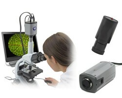 Video cameras for microscopes