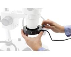 Illuminators for microscopes