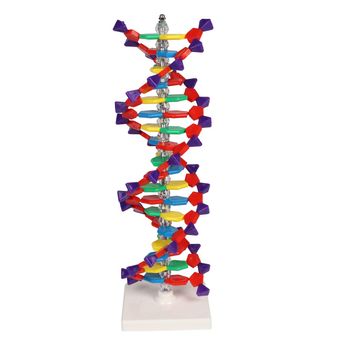 C100 - Dvojit roubovice DNA