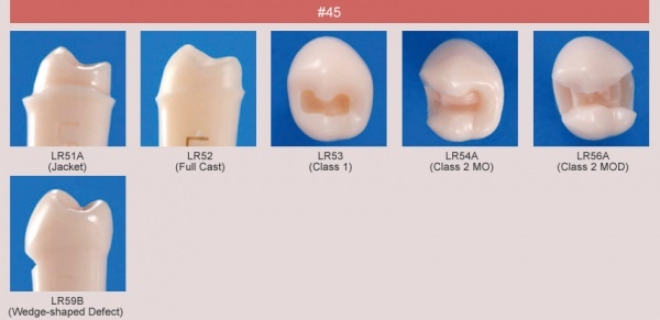 Model zubu pro ppravu pile mstku a itn zubu ped vpln (zub . 45)