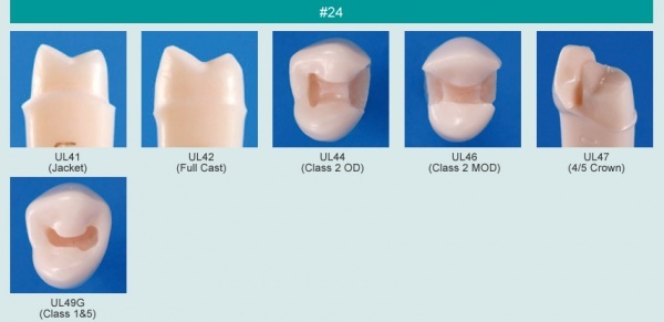 Model zubu pro ppravu pile mstku a itn zubu ped vpln (zub . 24)