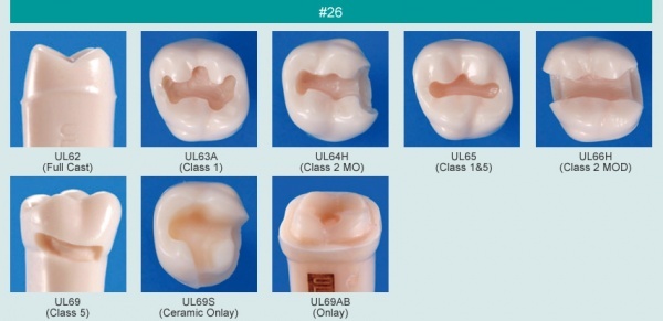 Model zubu pro ppravu pile mstku a itn zubu ped vpln (zub . 26)