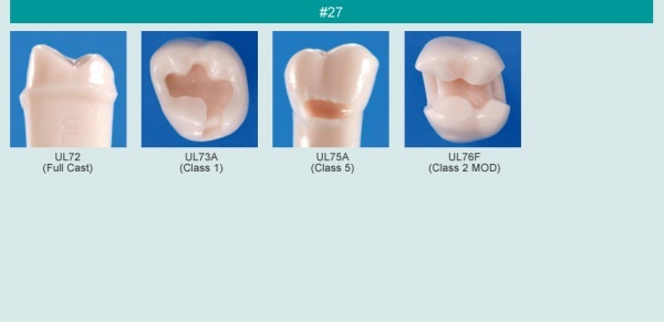 Model zubu pro ppravu pile mstku a itn zubu ped vpln (zub . 27)