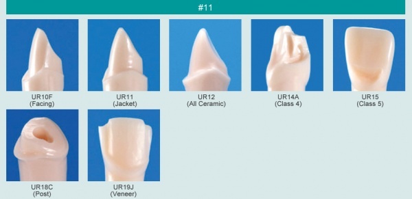 Model zubu pro ppravu pile mstku a itn zubu ped vpln (zub . 11)