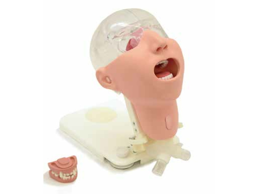 MW29 - Pokročilý simulátor péče o ústní dutinu