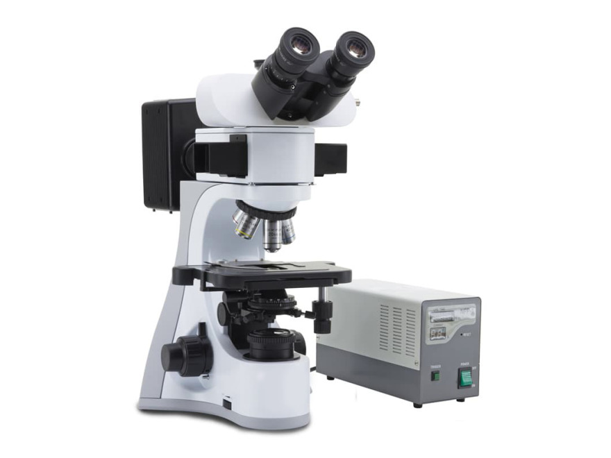 Trinokulrn fluorescenn mikroskop B-510FL